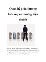 Quan hệ giữa thương hiệu mẹ và thương hiệu nhánh potx