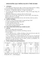 Dinh dưỡng thông qua hệ thống dạ dày trẻ sơ sinh docx