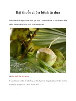 Bài thuốc chữa bệnh từ dừa docx