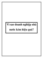 Vì sao doanh nghiệp nhà nước kém hiệu quả? pdf