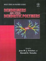Dendrimers and Other Dendritic Polymers pot