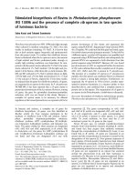 Báo cáo Y học: Stimulated biosynthesis of ﬂavins in Photobacterium phosphoreum IFO 13896 and the presence of complete rib operons in two species of luminous bacteria Sabu Kasai and Takumi Sumimoto pot