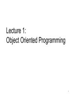 Lecture 1:Object Oriented Programming pdf