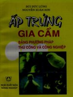 ấp trứng gia cầm bằng phương pháp thủ công và công nghệ