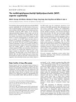 Báo cáo khoa học: The multidrug/oligosaccharidyl-lipid/polysaccharide (MOP) exporter superfamily pdf