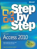 Microsoft Access 2010 Step by Step pot