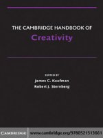 The Cambridge Handbook of Creativity