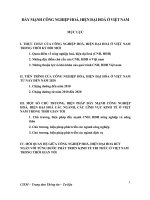 ĐẨY MẠNH CÔNG NGHIỆP HOÁ, HIỆN ĐẠI HOÁ Ở VIỆT NAM pptx