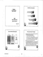 Bảo vệ thương hiệu docx