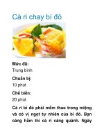 Cà ri chay bí đỏ doc