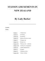 STATION AMUSEMENTS IN NEW ZEALAND docx