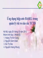 Ứng dụng hiệp ước BASEL trong  quản lý rủi ro của các tổ chức tài chính