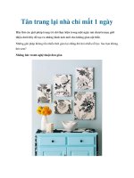 Tân trang lại nhà chỉ mất 1 ngày pdf