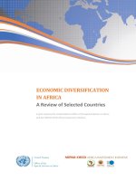 ECONOMIC DIVERSIFICATION IN AFRICA: A Review of Selected Countries pdf