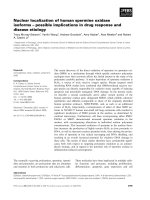 Báo cáo khoa học: Nuclear localization of human spermine oxidase isoforms – possible implications in drug response and disease etiology pptx