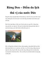 Rừng Đen – Điểm du lịch thú vị của nước Đức docx