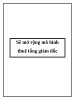 Sẽ mở rộng mô hình thuê tổng giám đốc ppt
