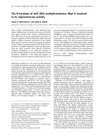 Báo cáo Y học: The N-terminus of m5C-DNA methyltransferase Msp I is involved in its topoisomerase activity docx