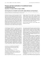 Báo cáo khoa học: Pressure and heat inactivation of recombinant human acetylcholinesterase Importance of residue E202 for enzyme stability pdf