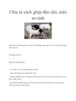 Chia sẻ cách ghép đàn chó, mèo sơ sinh pptx