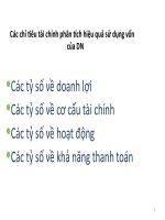 Mot so chi so tai chinh tham khao ppt