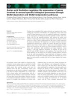 Báo cáo khoa học: Amino acid limitation regulates the expression of genes involved in several speciﬁc biological processes through GCN2-dependent and GCN2-independent pathways ppt
