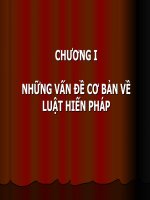 Những vấn đề cơ bản của luật pháp pot