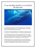 Vì sao loài động vật biển có vú có thể thở lâu dưới nước ppt