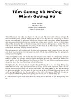 Tấm Gương Và Những Mảnh Gương Vỡ pdf