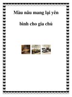 Màu nâu mang lại yên bình cho gia chủ docx