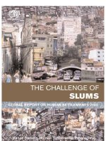 the challenge of slums docx