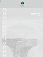 Annual report 2011 pptx