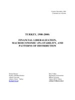 FINANCIAL LIBERALIZATION, MACROECONOMIC (IN)-STABILITY, AND PATTERNS OF DISTRIBUTION pptx