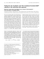 Báo cáo Y học: Probing the role of glutamic acid 139 of Anabaena ferredoxin-NADP+ reductase in the interaction with substrates pptx