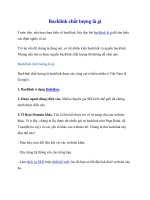 Backlink chất lượng là gì pdf