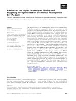 Báo cáo khoa học: Analysis of the region for receptor binding and triggering of oligomerization on Bacillus thuringiensis Cry1Aa toxin potx
