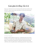 Làm giàu từ đồng vốn ít ỏi potx