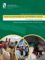 FOOD SECURITY IN PRACTICE Social Accounting Matrices and Multiplier Analysis pptx