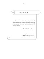 Quản lý thuế ở Việt Nam trong điều kiện hội nhập kinh tế quốc tế