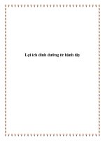 Lợi ích dinh dưỡng từ hành tây potx