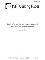Brazil''''s Capital Market: Current Status and Issues for Further Development pot
