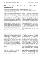 Báo cáo Y học: Diffusion through channel derivatives of the Escherichia coli FhuA transport protein doc