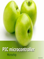 PIC microcontroller Microchip docx