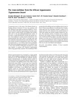 Báo cáo Y học: The trans-sialidase from the African trypanosome Trypanosoma brucei potx