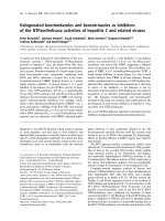 Báo cáo khoa học: Halogenated benzimidazoles and benzotriazoles as inhibitors of the NTPase/helicase activities of hepatitis C and related viruses ppt