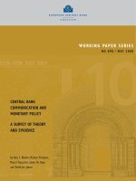 WORKING PAPER SERIES NO 898 / MAY 2008: CENTRAL BANK COMMUNICATION AND MONETARY POLICY A SURVEY OF THEORY AND EVIDENCE doc