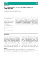 Báo cáo khoa học: RIP1 comes back to life as a cell death regulator in TNFR1 signaling docx