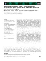 Báo cáo khoa học: Glutamic acid residues in the C-terminal extension of small heat shock protein 25 are critical for structural and functional integrity pptx