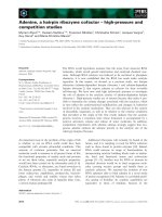 Báo cáo khoa học: Adenine, a hairpin ribozyme cofactor – high-pressure and competition studies potx