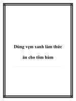 Dùng vẹm xanh làm thức ăn cho tôm hùm doc